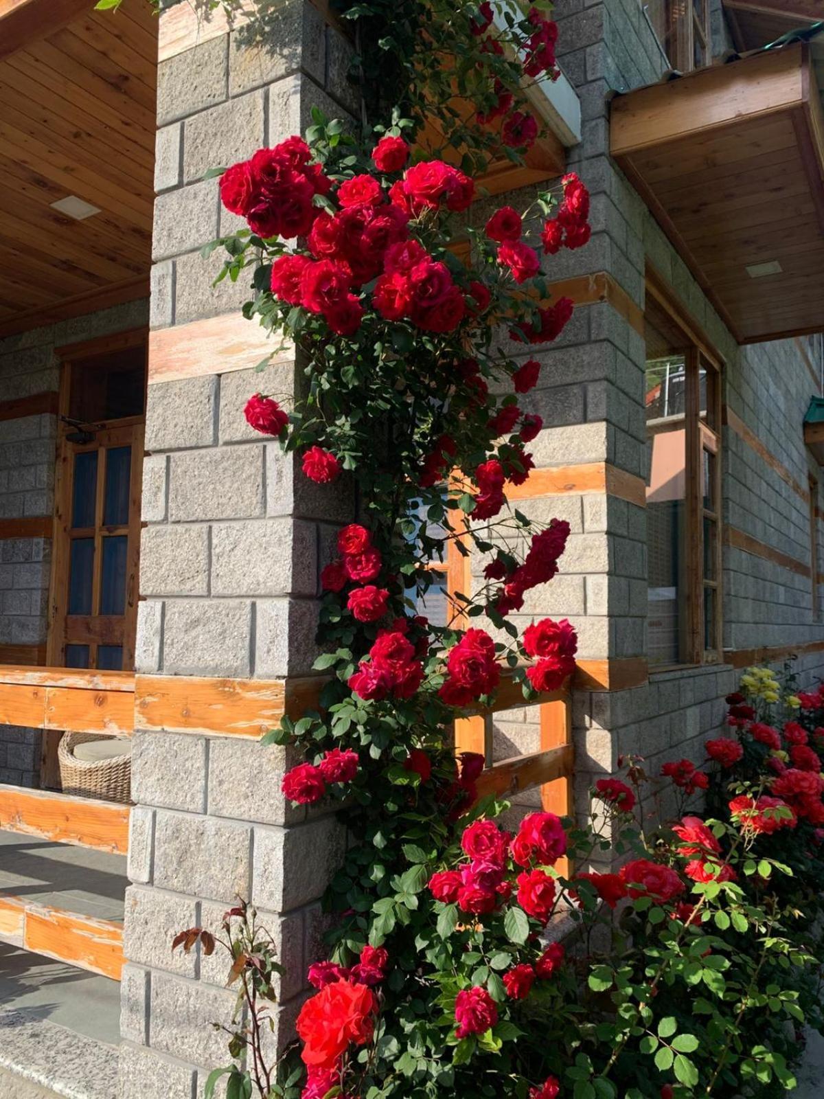 Bed & Breakfast The Mountain
